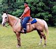 summer_horses6.jpg