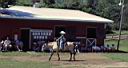summer_horseshow1.jpg