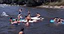 summer_swimming1.jpg
