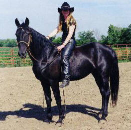 Melissa and Aspen Majestic Lady
