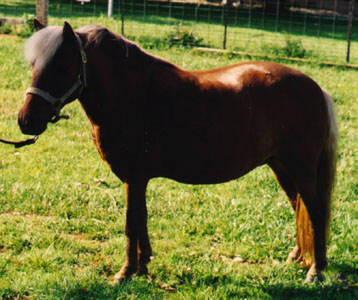 Starstruck Uptown Girl