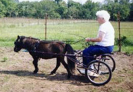 Betty driving Prancelot's Braveheart