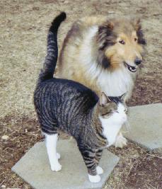 Murphy playing king of the mountain on Melissa