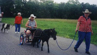 Barbara guiding "William" while Bonnie drives, Betty leading Chenterra Cordero