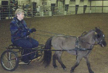 William with Barbara driving during Equifest 2000