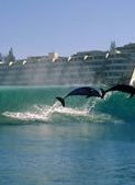 South African�6 Day 5 Night Coastal Explorer Guided Coach Tours