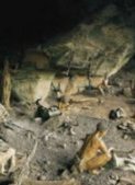 South African�6 Day 5 Night Coastal Explorer Guided Coach Tours