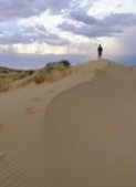 South African 6 Day 5 Night Coastal Explorer Guided Coach Tour