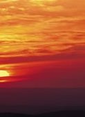 South African 6 Day 5 Night Coastal Explorer Guided Coach Tour