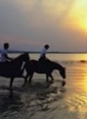 South African�6 Day 5 Night Coastal Explorer Guided Coach Tours