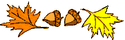 acrons