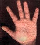 Click to enlarge.
