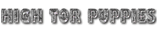 PUPPYlogo.gif (19036 bytes)