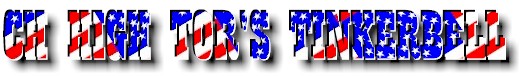 Tinkerbellogo.jpg (23668 bytes)