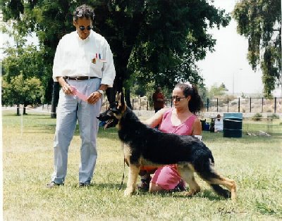 rascal.jpg (46473 bytes)