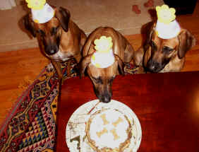 Happy Birthday,Piper-4, Mopane-3, Ndza-1