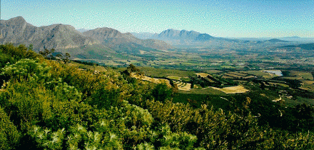Western Cape