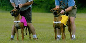 Mopane and Ndza at the line