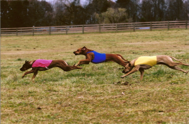 Tabu in the lead