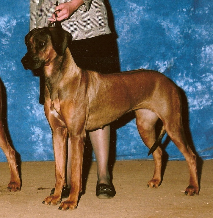 Tabu