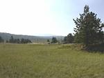 Florissant Fossil Beds Park, looking East. Just inside the blinding white glow is Pike's Peak.