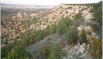 New Mexico Caprocl
