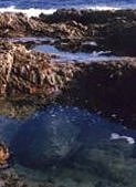 South African Hiking Pictures