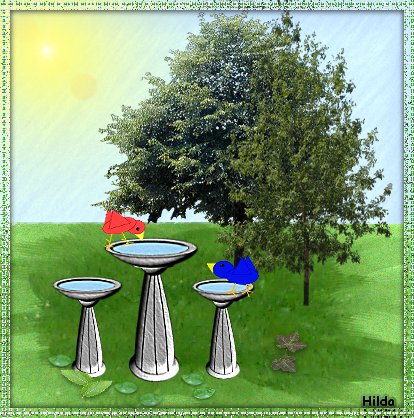 Bird Bath