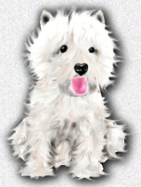 Westie