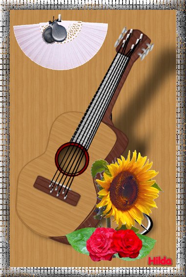 Guitar