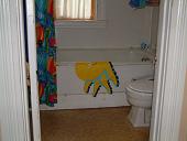 Bathroom Before
