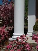 New Church Column