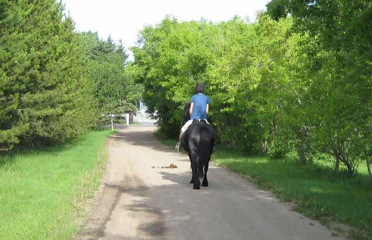 Ayla going down the driveway