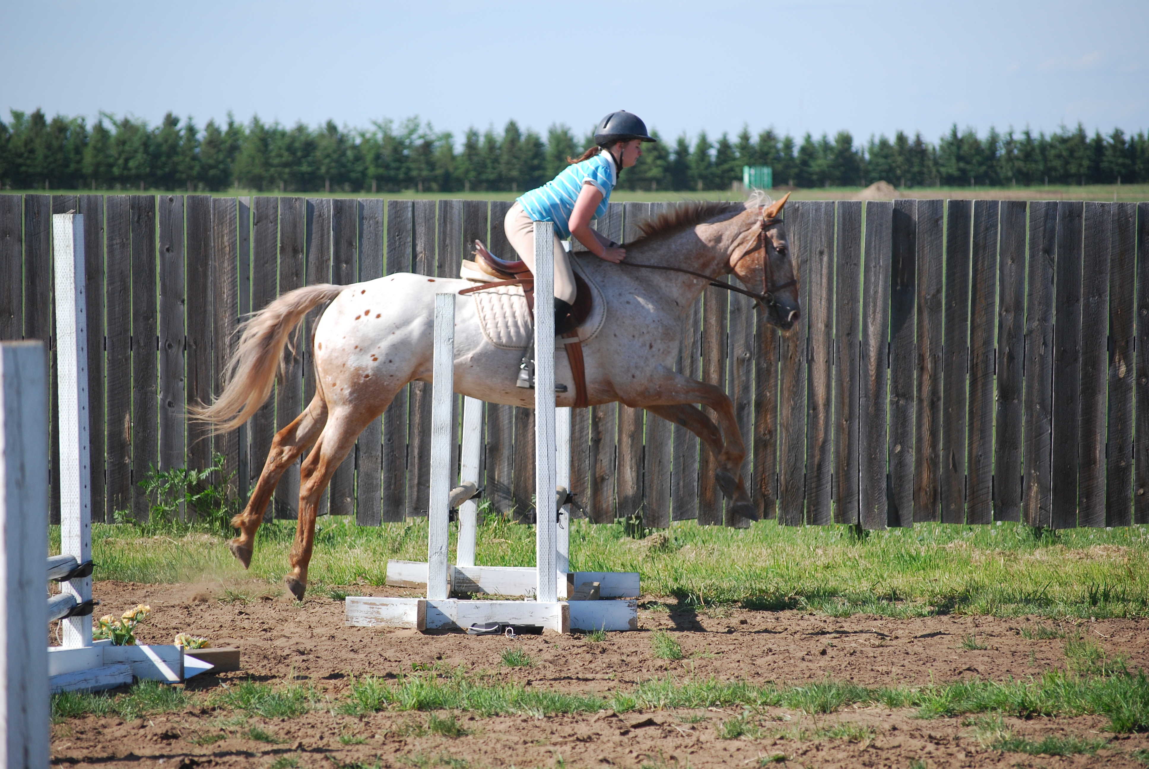 Diesel&nbsp; & Christine at Skoryybrook