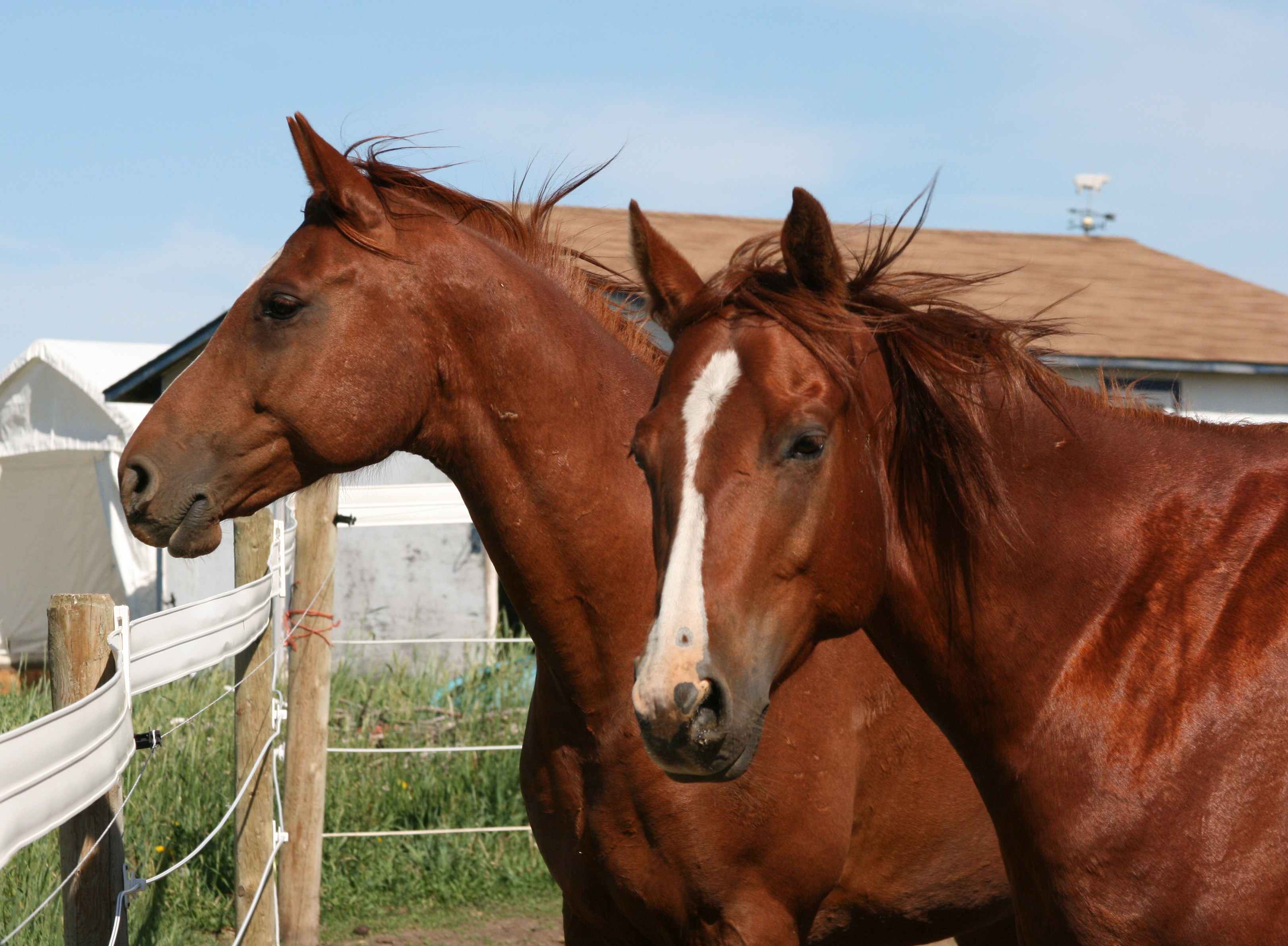Riyadh and Chance enjoying each others company