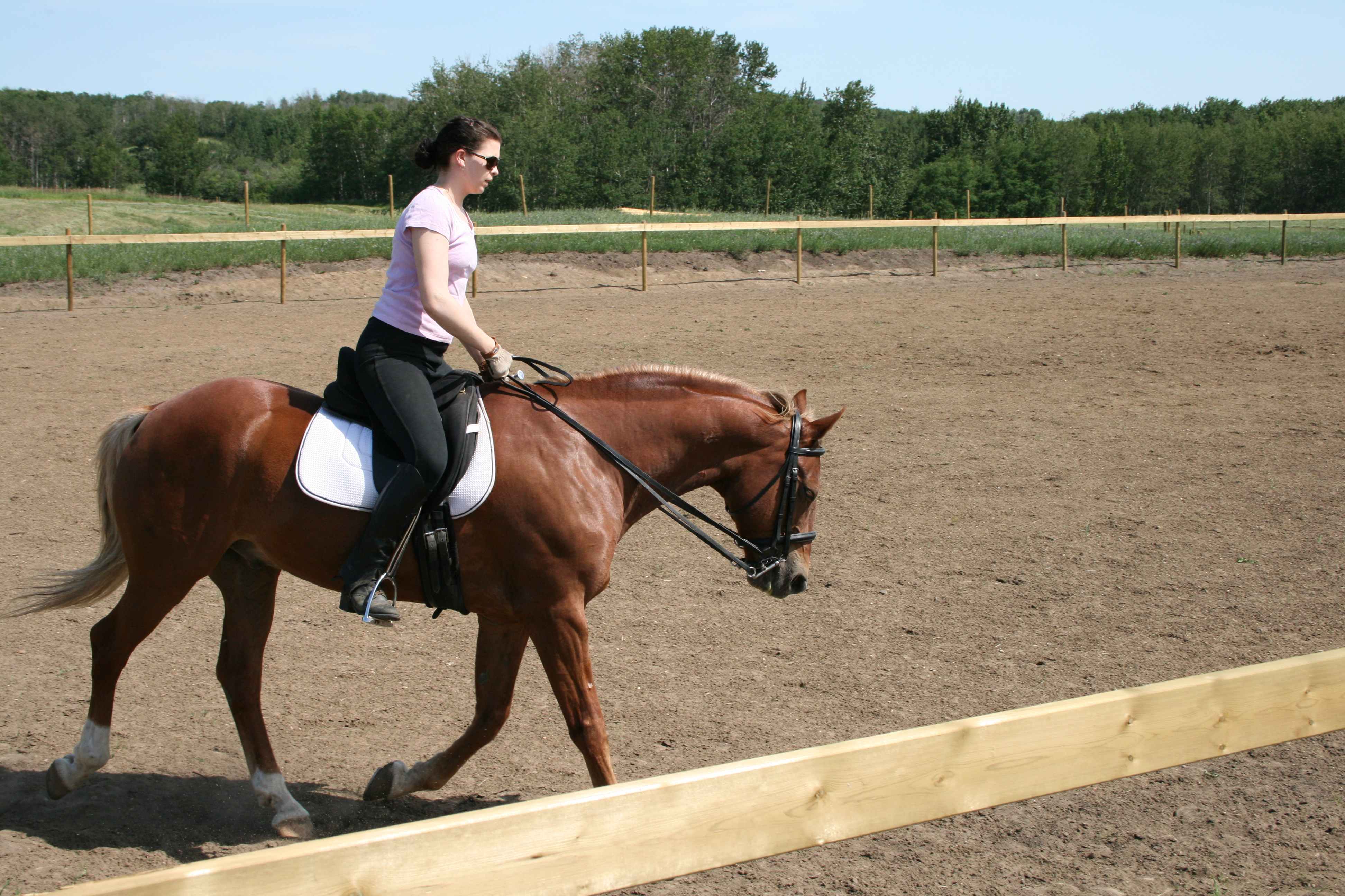 Clare and Sunny in the outdoor arena