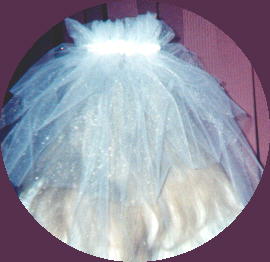 daisy back view