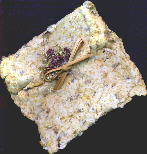 hand made herbed love paper