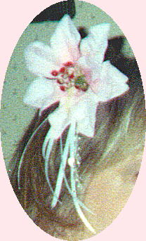 valentine pointsetta bridesmaid comb