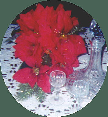 Valentine pointsetta collection