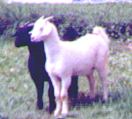 Duncan and Dylan