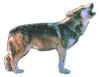 cutout_wolf.jpg (39762 bytes)