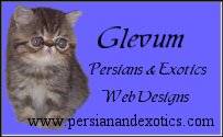 Web Site Designed & Maintained by Glevum � 2002
