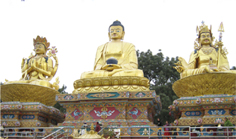 about Sherpa 