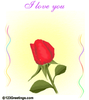The Rose