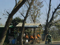 Khanpur Oranges