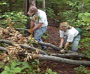 Trail Maintenance