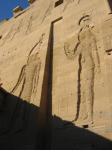 Philae�q��������
