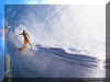 Surfe
