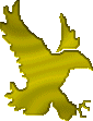 eagle1.gif (3374 bytes)
